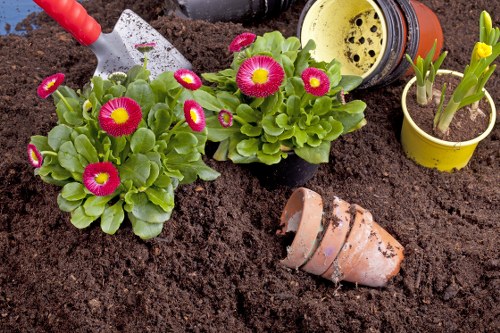 Handy Landscapers team member adjusting garden plan on tablet