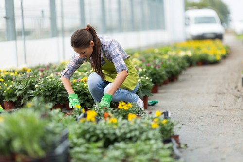 Handy Landscapers team at work on a garden project
