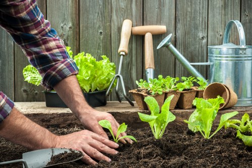 Customized lawn mowing plan for a beautiful yard