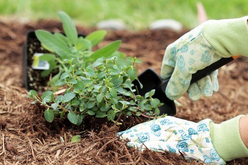 Handy Landscapers' expert decking services