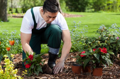 Estimator measuring mulch and soil needs for a townhome garden