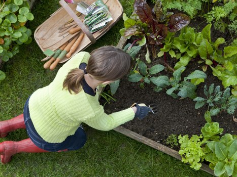 Maintenance services for decks by Handy Landscapers