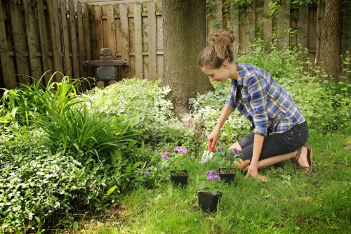 Tools and equipment used in garden clearance