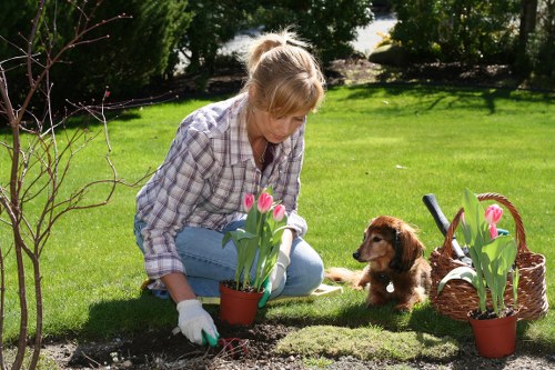 Healthy green lawn maintained by expert mowers