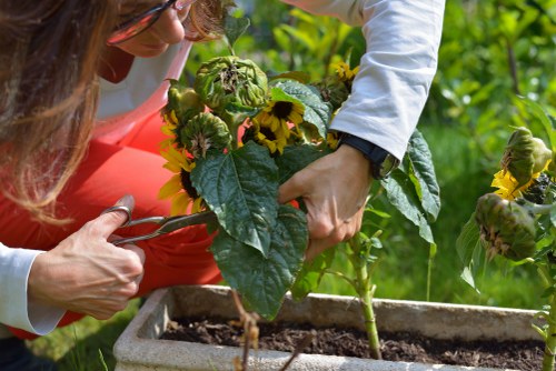 Sustainable decking materials used by Handy Landscapers