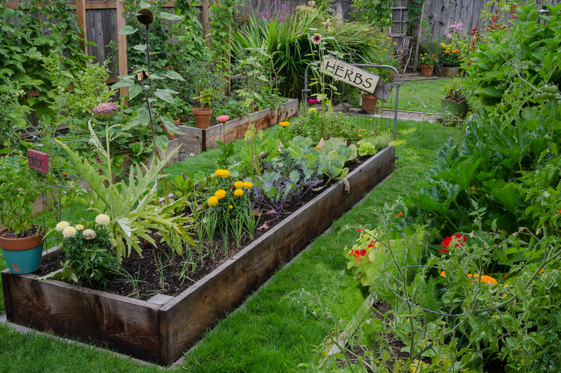 garden landscaping garden design